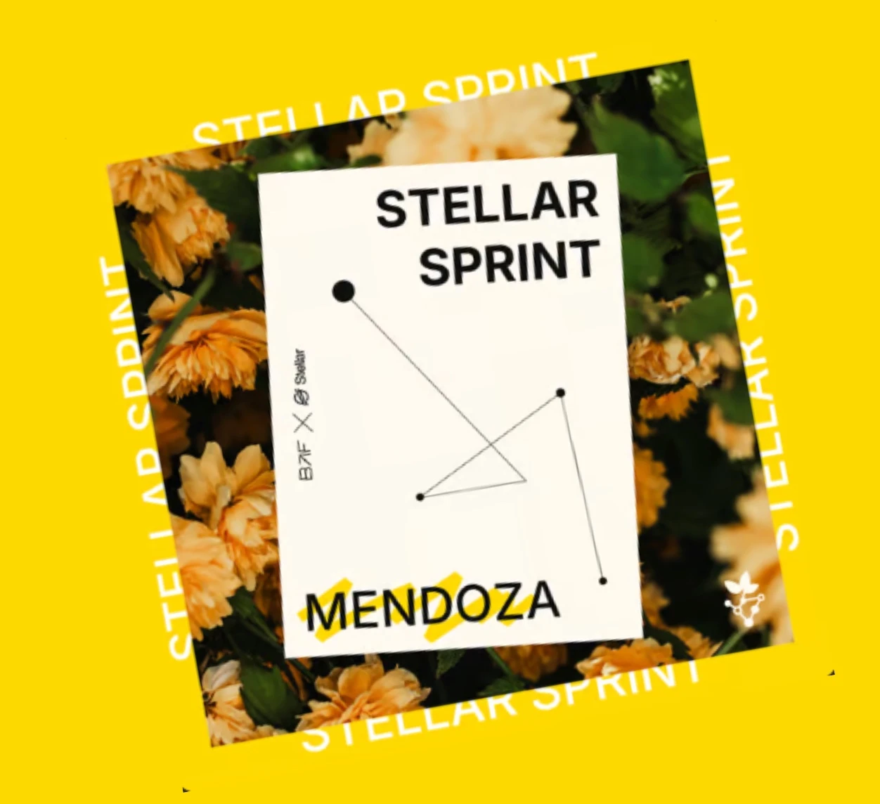 Stellar Sprint - Incuba web 3